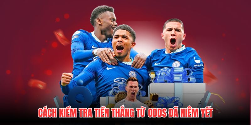 Cách kiểm tra tiền thắng từ odds đã niêm yết