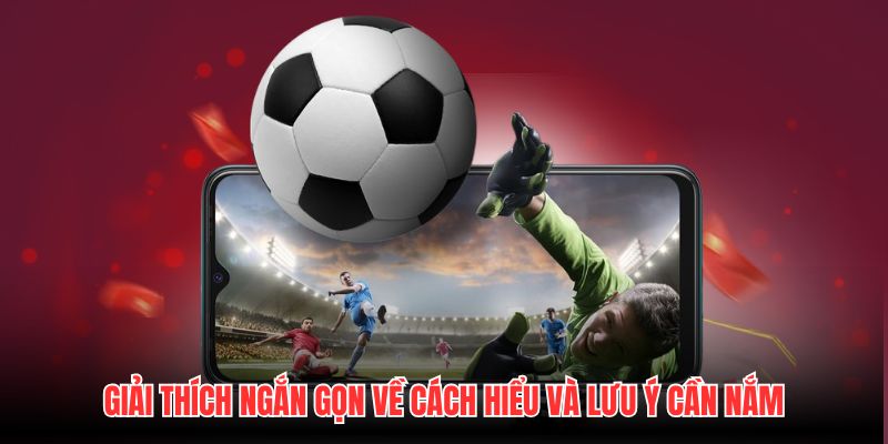 Giải thích ngắn gọn về cách hiểu và lưu ý cần nắm