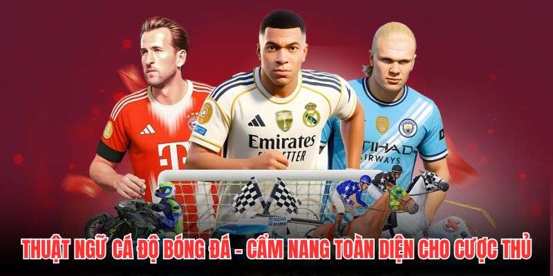 Thuật Ngữ Cá Độ Bóng Đá - Cẩm Nang Toàn Diện Cho Cược Thủ